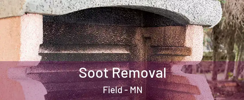 Soot Removal Field - MN