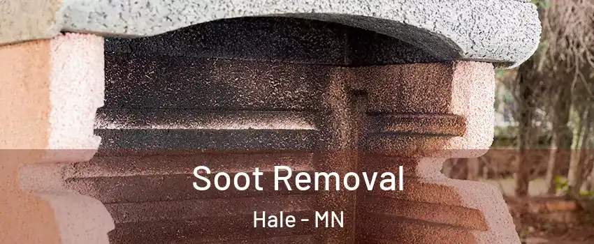Soot Removal Hale - MN