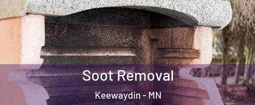 Soot Removal Keewaydin - MN