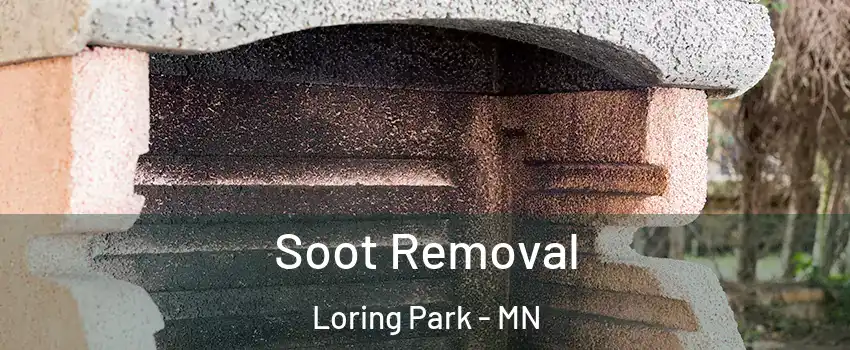 Soot Removal Loring Park - MN