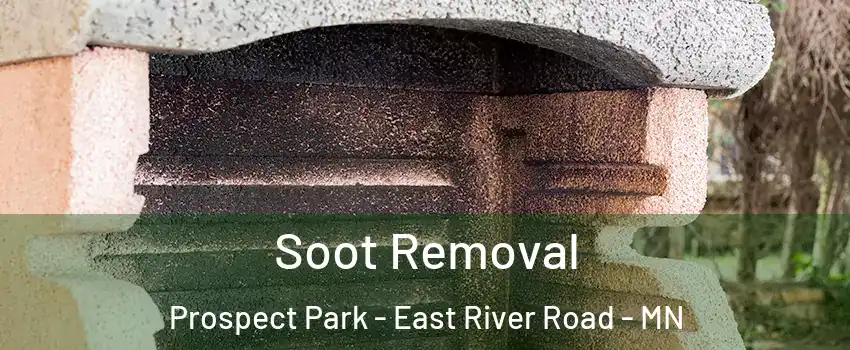 Soot Removal Prospect Park - East River Road - MN