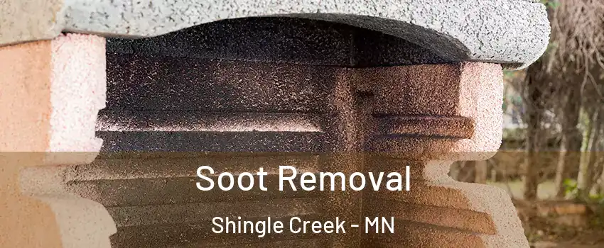 Soot Removal Shingle Creek - MN