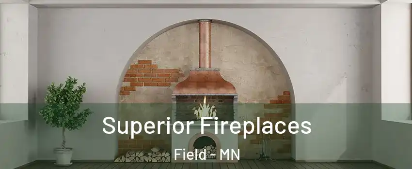 Superior Fireplaces Field - MN