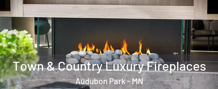 Town & Country Luxury Fireplaces Audubon Park - MN