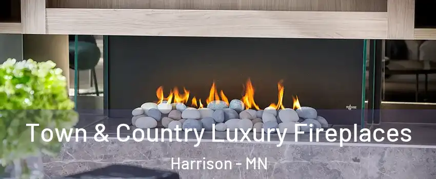 Town & Country Luxury Fireplaces Harrison - MN