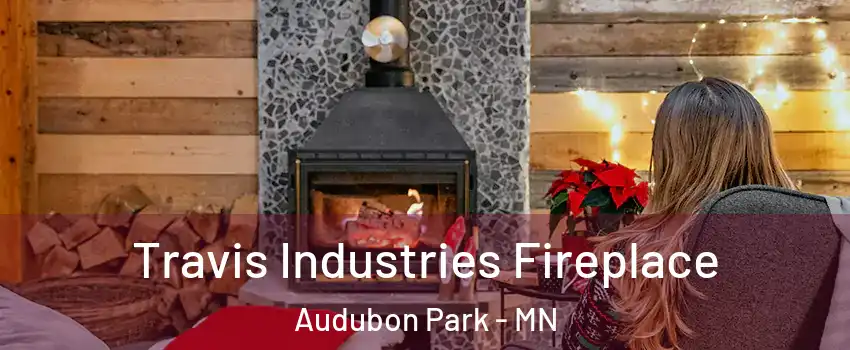 Travis Industries Fireplace Audubon Park - MN