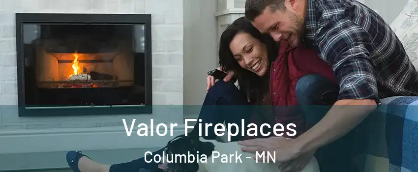 Valor Fireplaces Columbia Park - MN