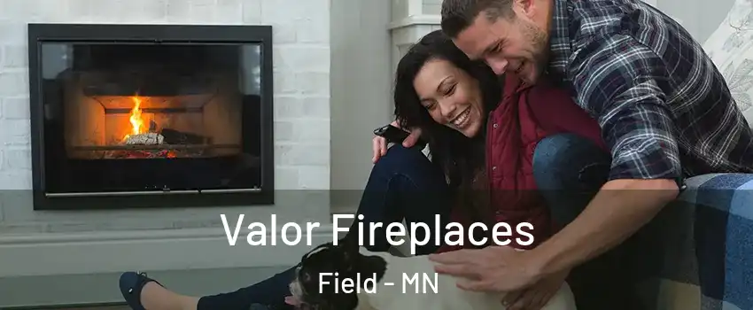 Valor Fireplaces Field - MN