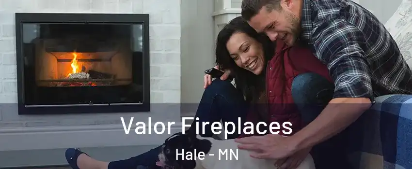 Valor Fireplaces Hale - MN