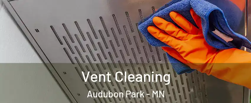 Vent Cleaning Audubon Park - MN
