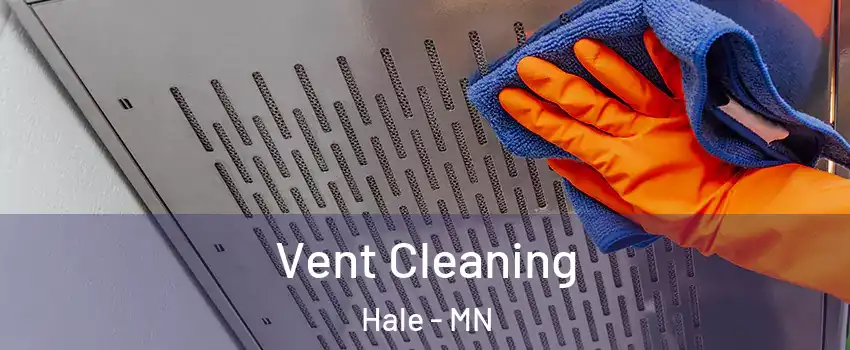 Vent Cleaning Hale - MN