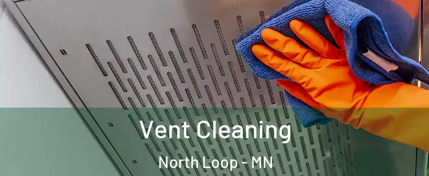 Vent Cleaning North Loop - MN