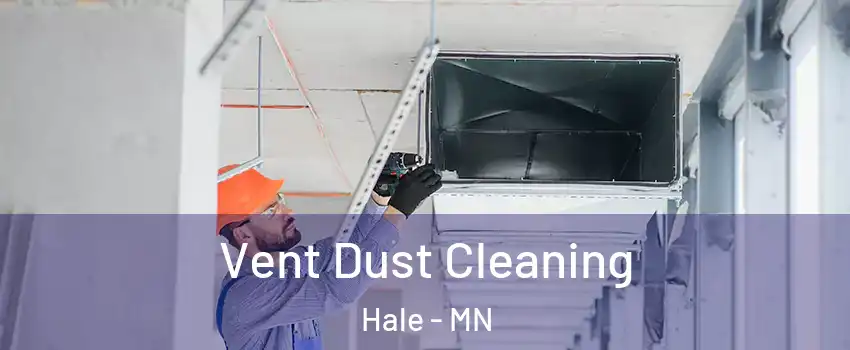 Vent Dust Cleaning Hale - MN