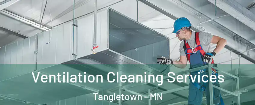 Ventilation Cleaning Services Tangletown - MN