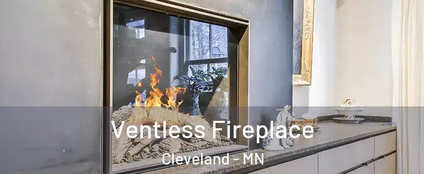 Ventless Fireplace Cleveland - MN