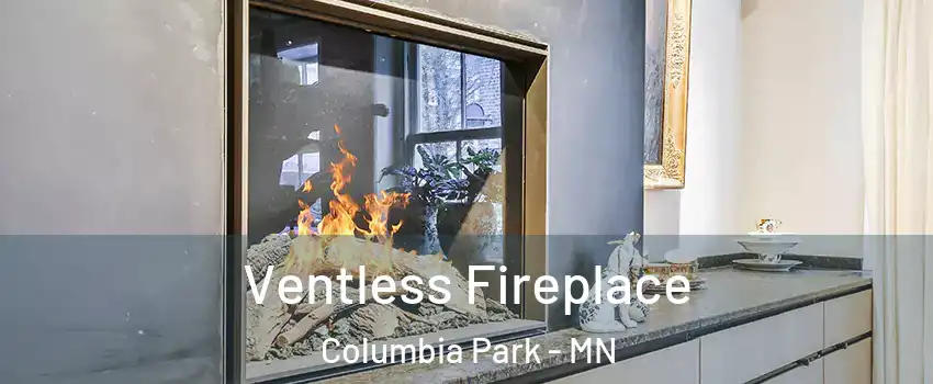 Ventless Fireplace Columbia Park - MN