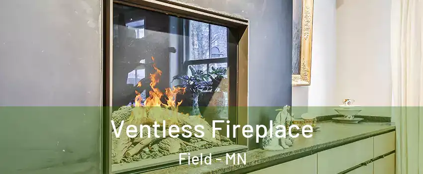 Ventless Fireplace Field - MN
