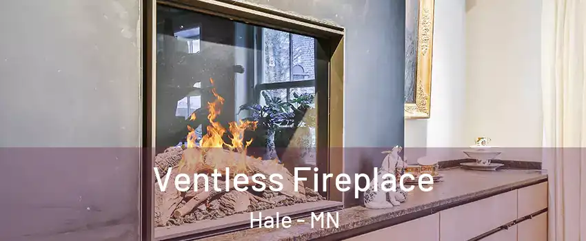 Ventless Fireplace Hale - MN