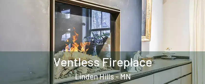 Ventless Fireplace Linden Hills - MN