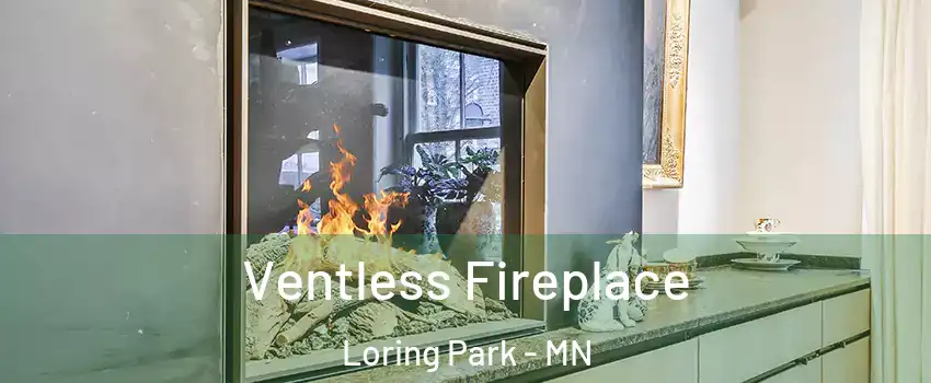 Ventless Fireplace Loring Park - MN