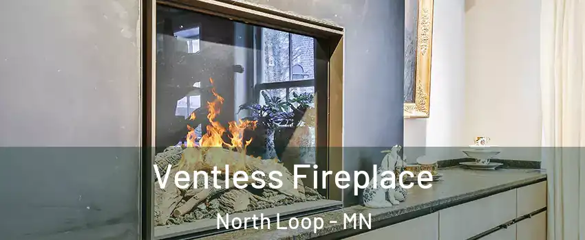 Ventless Fireplace North Loop - MN