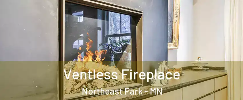 Ventless Fireplace Northeast Park - MN
