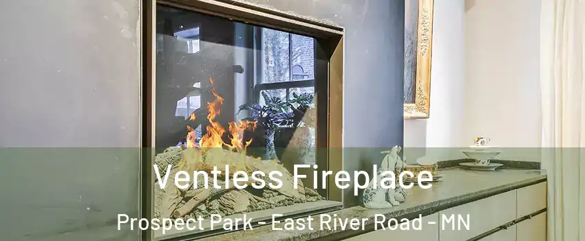 Ventless Fireplace Prospect Park - East River Road - MN