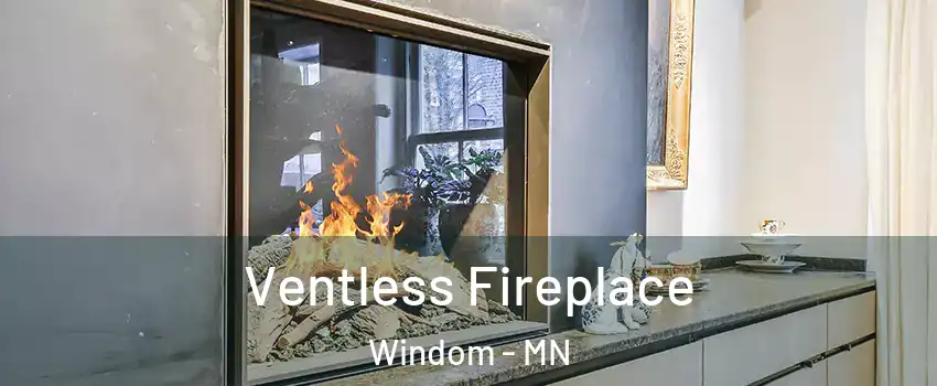 Ventless Fireplace Windom - MN