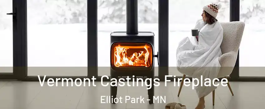 Vermont Castings Fireplace Elliot Park - MN