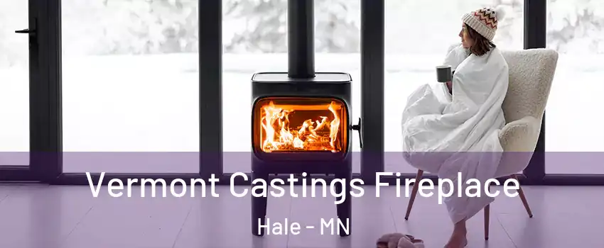Vermont Castings Fireplace Hale - MN