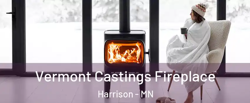 Vermont Castings Fireplace Harrison - MN