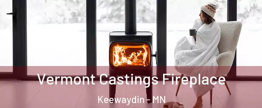 Vermont Castings Fireplace Keewaydin - MN