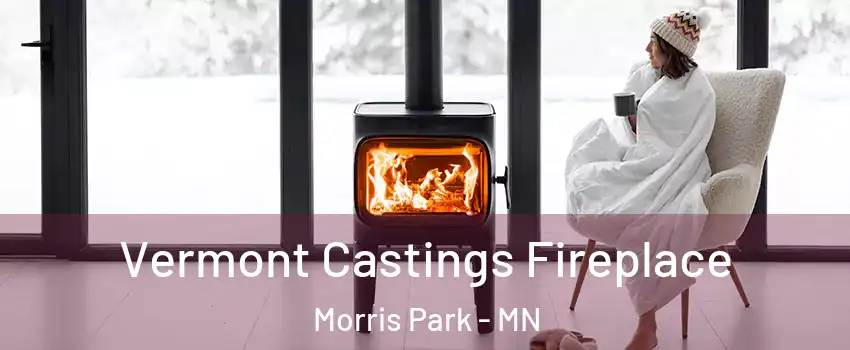 Vermont Castings Fireplace Morris Park - MN