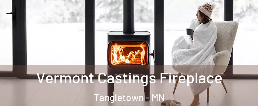 Vermont Castings Fireplace Tangletown - MN
