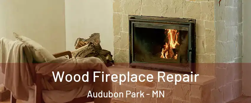 Wood Fireplace Repair Audubon Park - MN