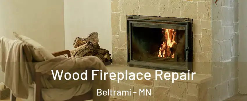 Wood Fireplace Repair Beltrami - MN