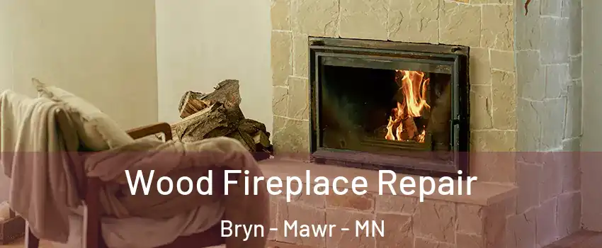 Wood Fireplace Repair Bryn - Mawr - MN