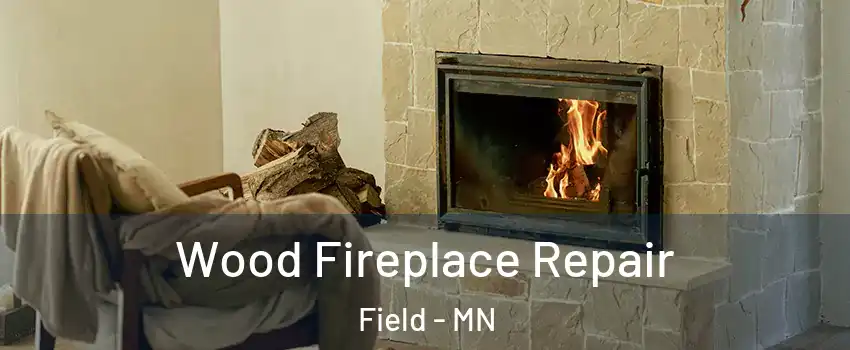 Wood Fireplace Repair Field - MN