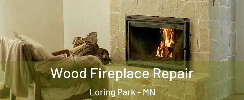 Wood Fireplace Repair Loring Park - MN