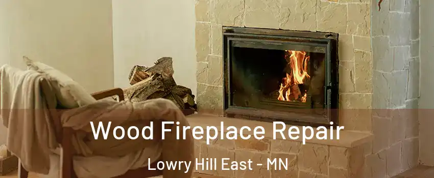 Wood Fireplace Repair Lowry Hill East - MN