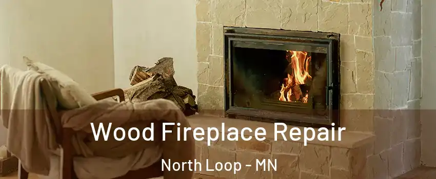 Wood Fireplace Repair North Loop - MN