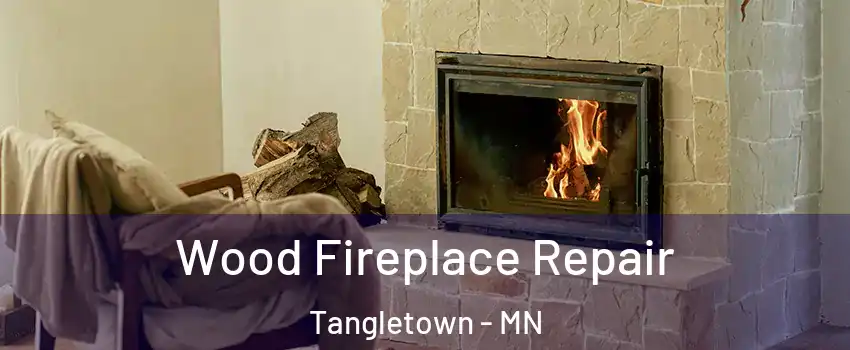 Wood Fireplace Repair Tangletown - MN