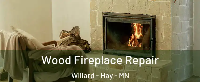 Wood Fireplace Repair Willard - Hay - MN