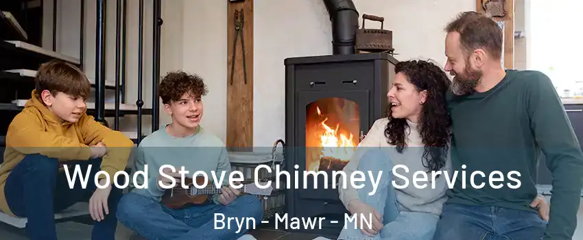 Wood Stove Chimney Services Bryn - Mawr - MN