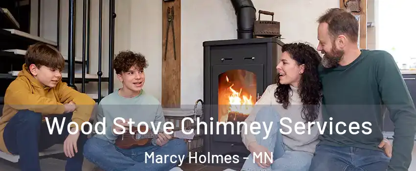 Wood Stove Chimney Services Marcy Holmes - MN