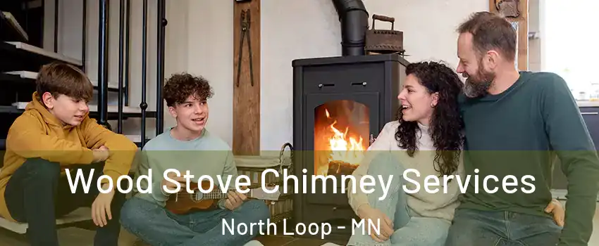 Wood Stove Chimney Services North Loop - MN