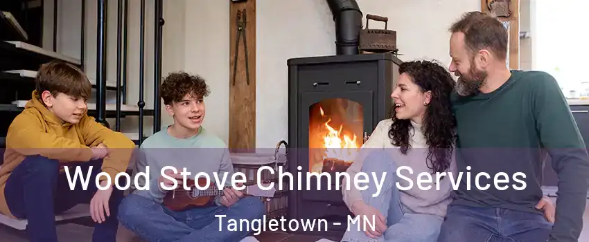 Wood Stove Chimney Services Tangletown - MN