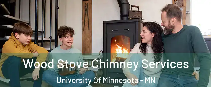 Wood Stove Chimney Services University Of Minnesota - MN