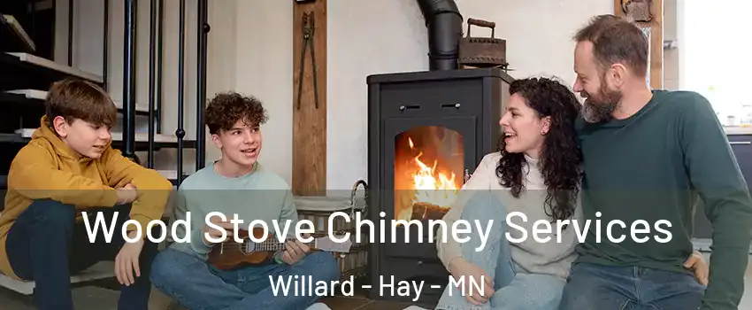 Wood Stove Chimney Services Willard - Hay - MN