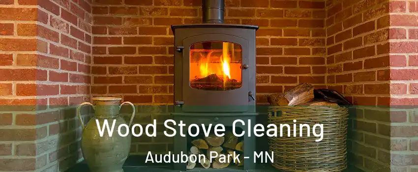 Wood Stove Cleaning Audubon Park - MN